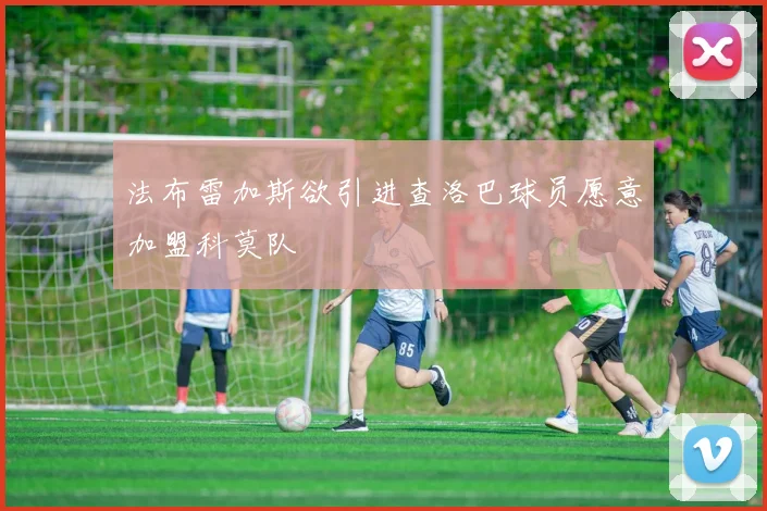 法布雷加斯欲引进查洛巴球员愿意加盟科莫队