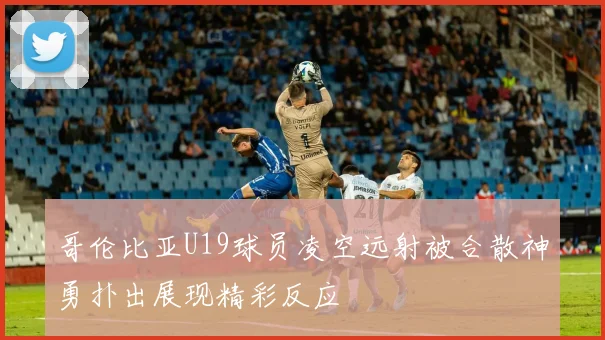 哥伦比亚U19球员凌空远射被合散神勇扑出展现精彩反应